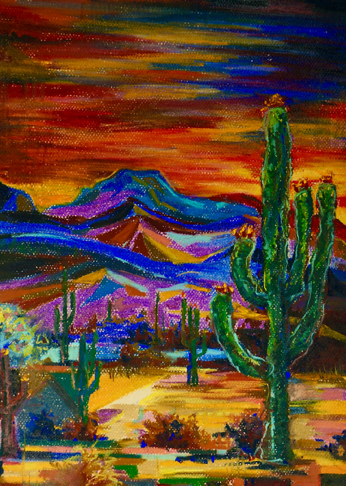Saguaro Sky