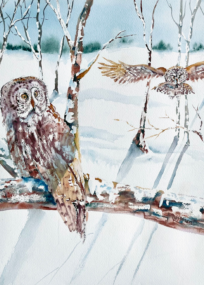 Owl S Winter Afternoon Visit Art | Color Splash Ranch