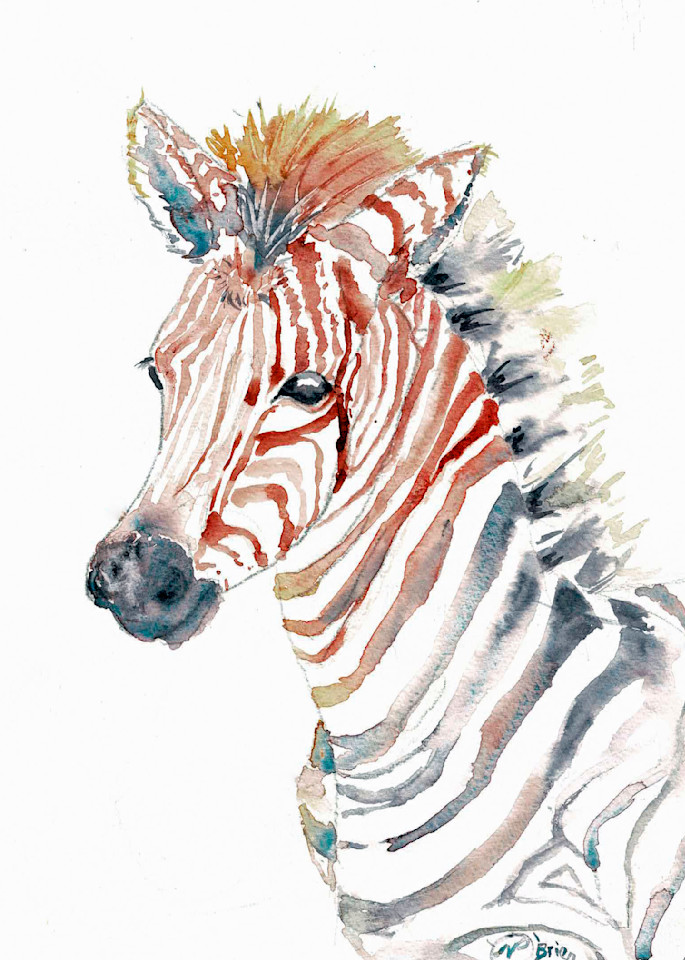 Backlit Baby Zebra Art | Color Splash Ranch