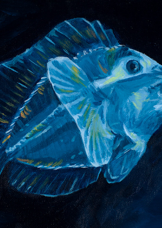 One Fish Blue Fish Art | Elizabeth Cleary