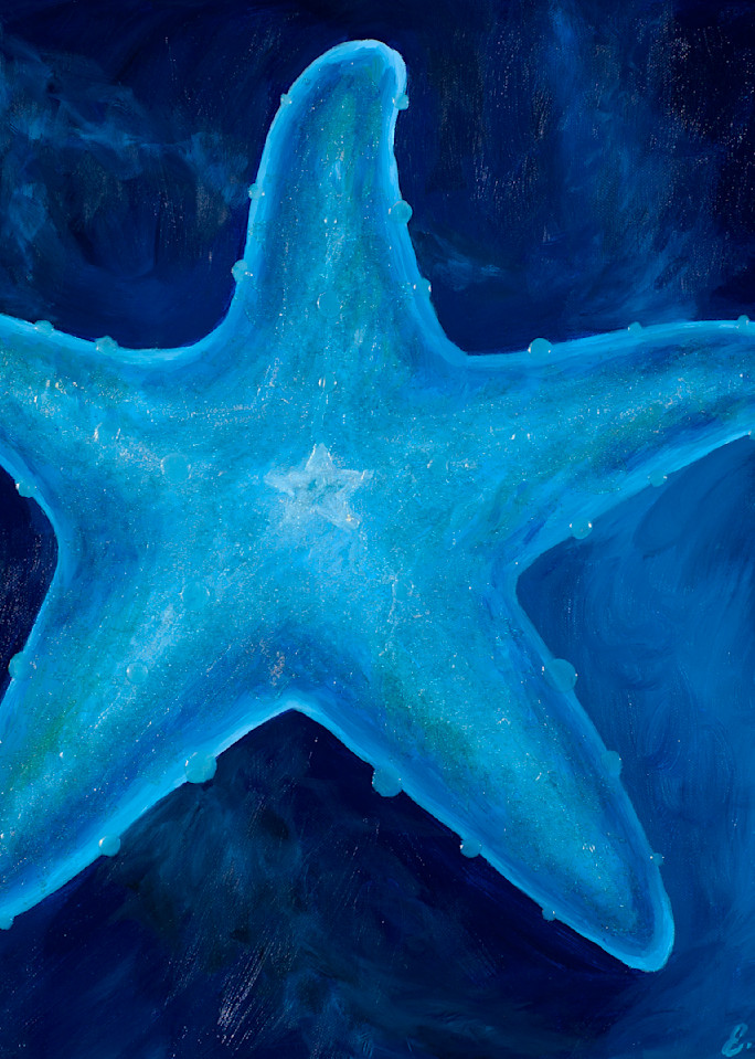 Sea Star Art | Elizabeth Cleary