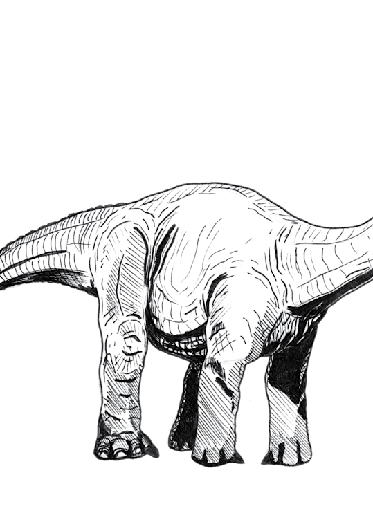 Brachiosaurus Art | Mikey Rioux