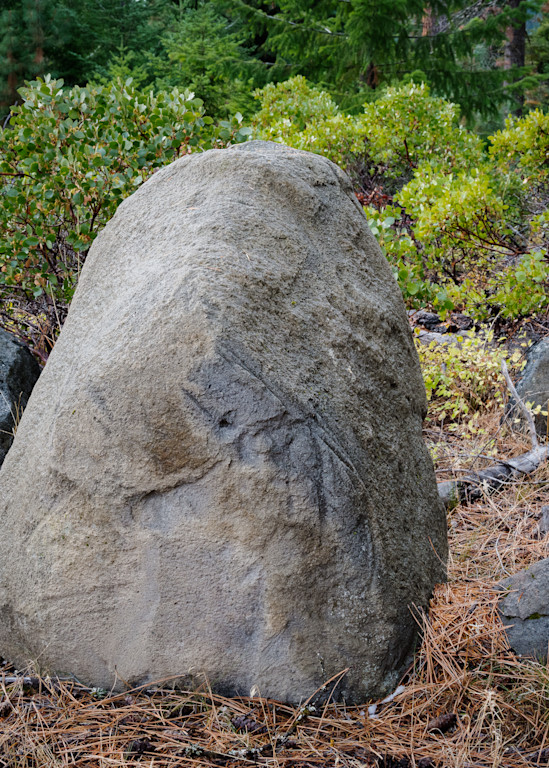 Rocks in the Forest, Mt Hood National Forest, Oregon, 2022
