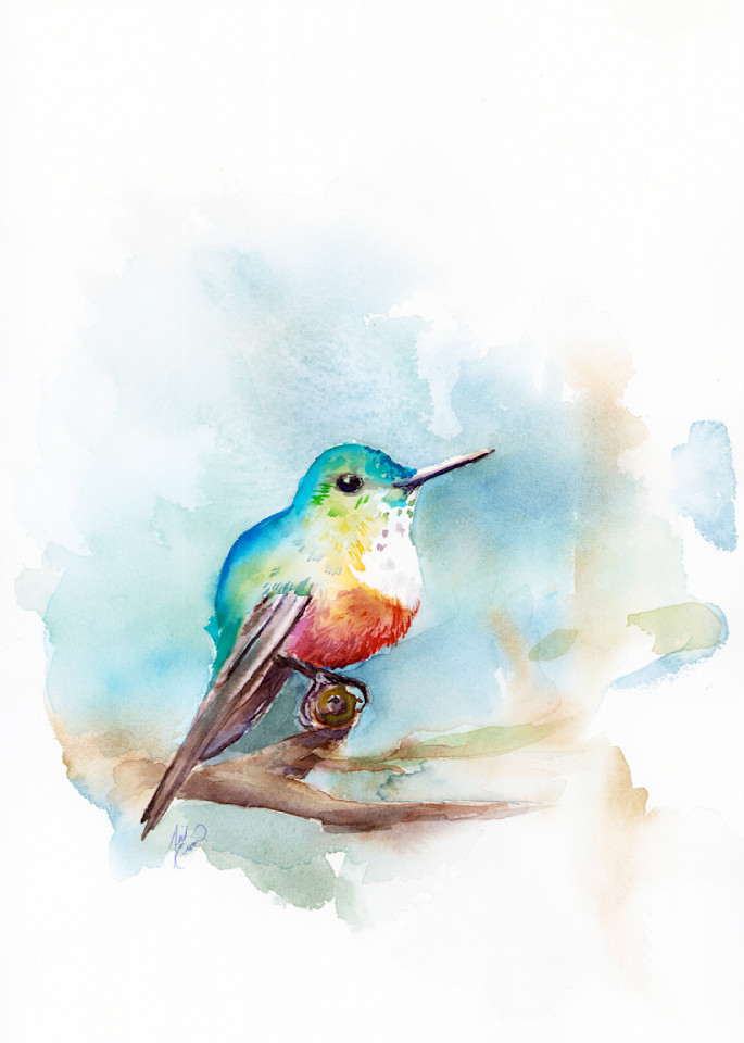 Hummingbird 3 Art | Jill Evans art + design