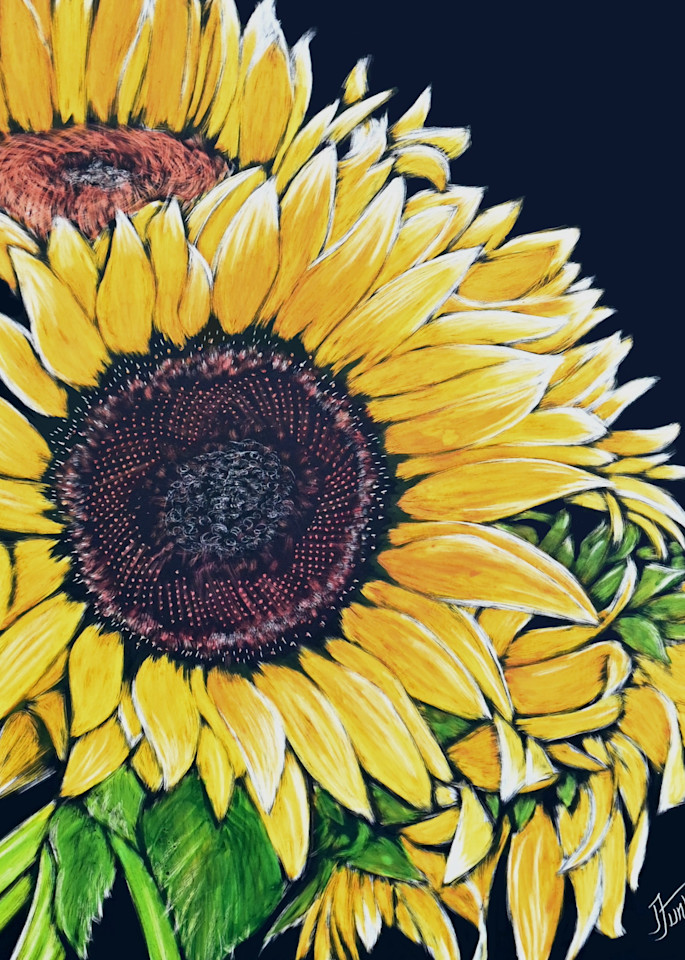 Flowers Sunflower Art | janetfunk