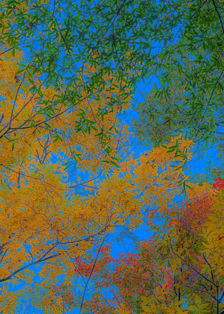 Autumn Colors Photography Art | John's Photos