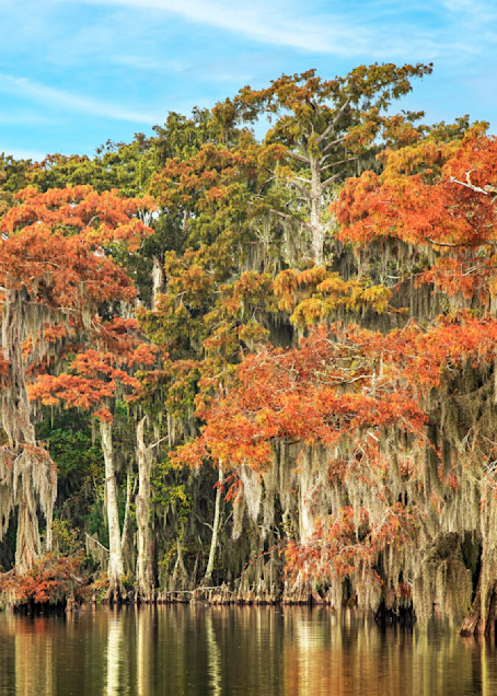 Autumn on Palourde — Louisiana swamp fine-art photography prints