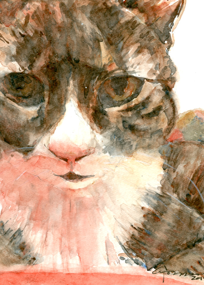 Tabby Cat Watercolor Print | Claudia Hafner Watercolor
