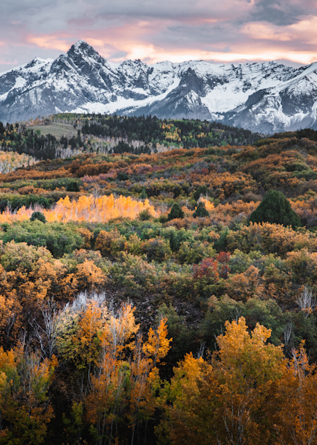 Alpine Meadows   Ridgway, Colorado Photography Art | matthewryanphoto
