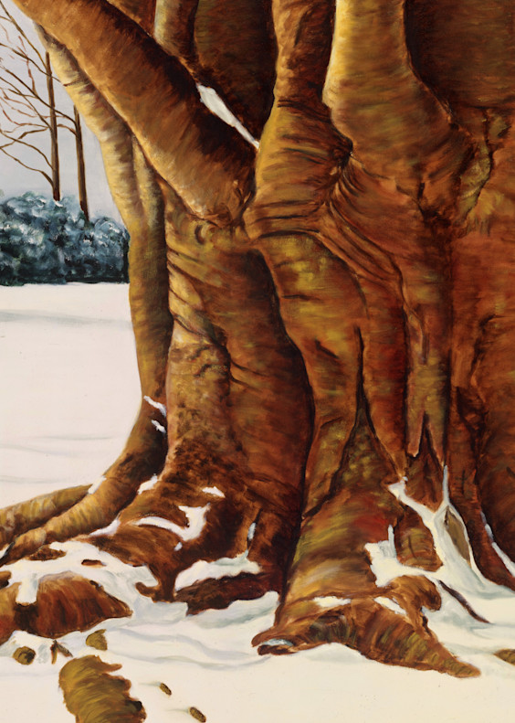 Copper Beech Tree Art | Christopher Evan Taylor Art