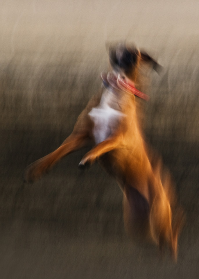 One Last Jump Photography Art | Eva Polak Photography