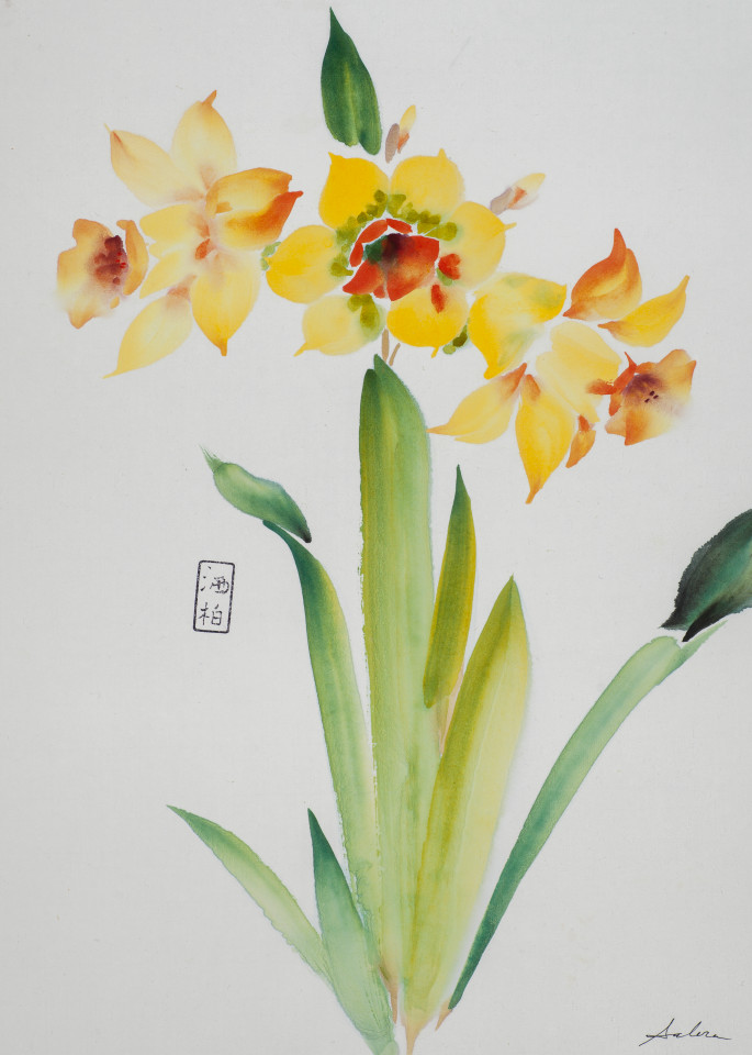 Daffodils Art | Sabra's Art