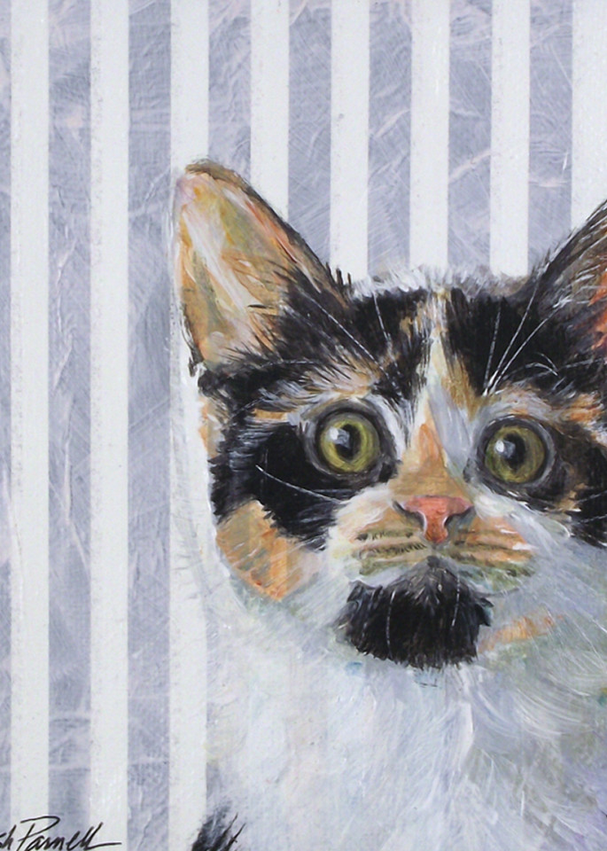 Kitten On Stripes Art | Parnell Studios