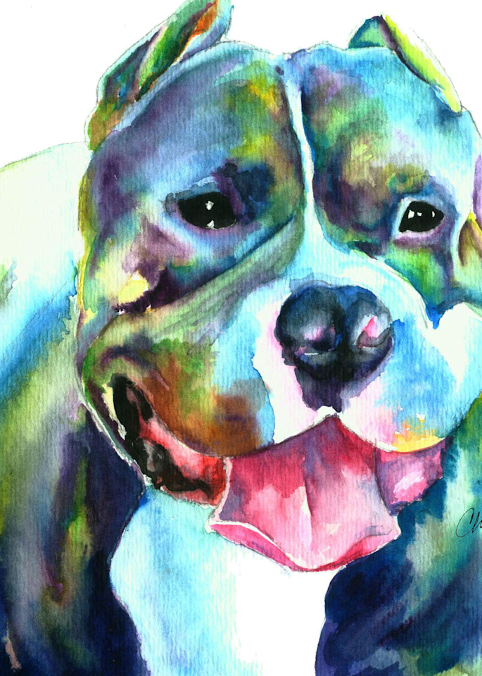 Silver Staffordshire Bull Terrier Watercolor Painting Pet Portrait