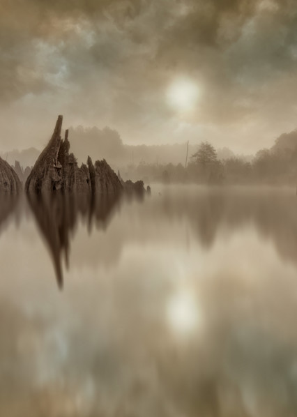 Dead Lakes 2 Fl Photography Art | Gareth Rockliffe Landscape Photography