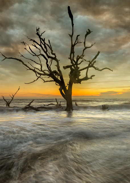Jekyll Island 3 Photography Art | Gareth Rockliffe Landscape Photography