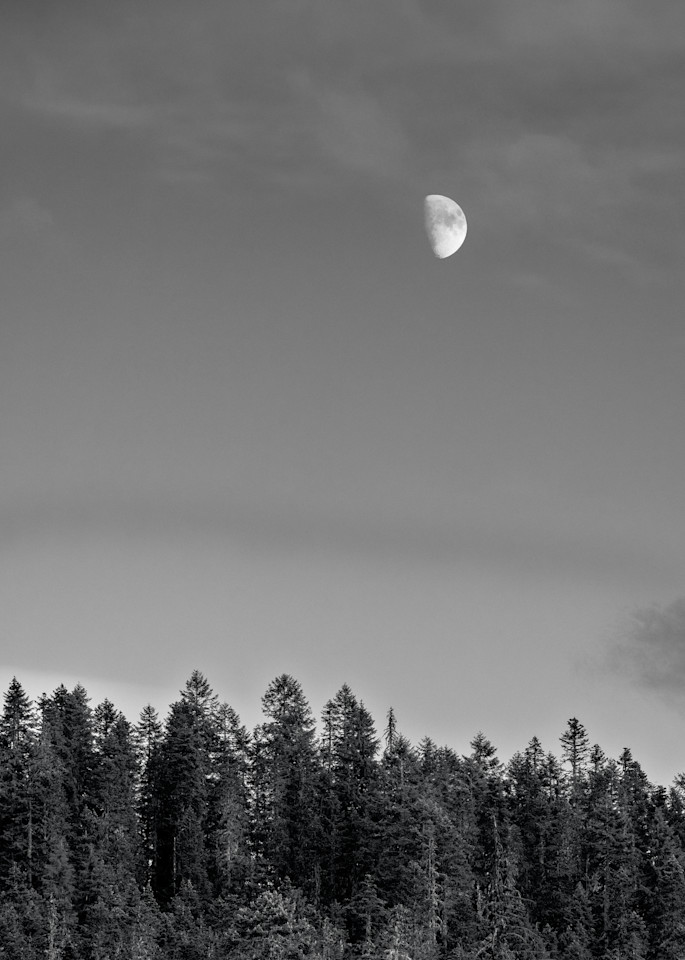 Moon Over the Forest, Skamania County, Washington, 2022