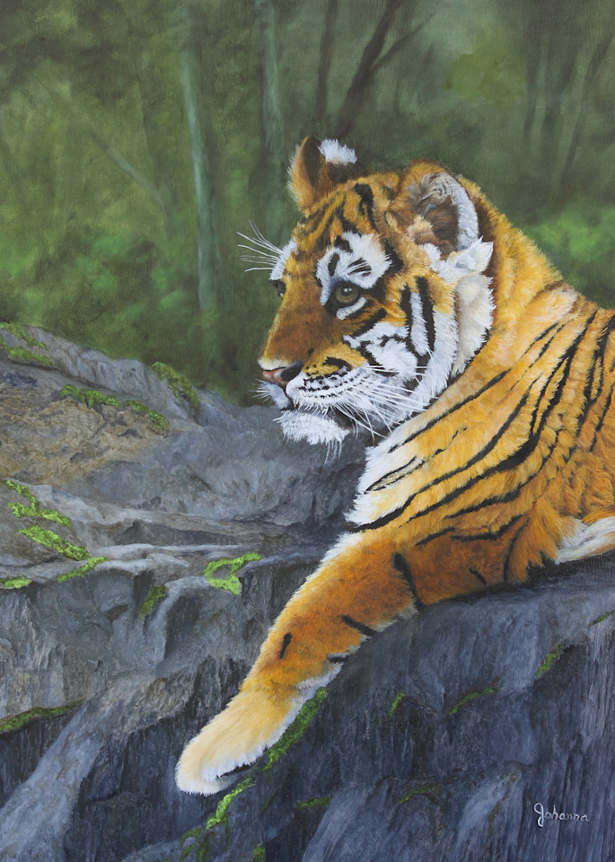 Resting Place   Tiger Cub Art | Johanna Lerwick Wildlife Artist