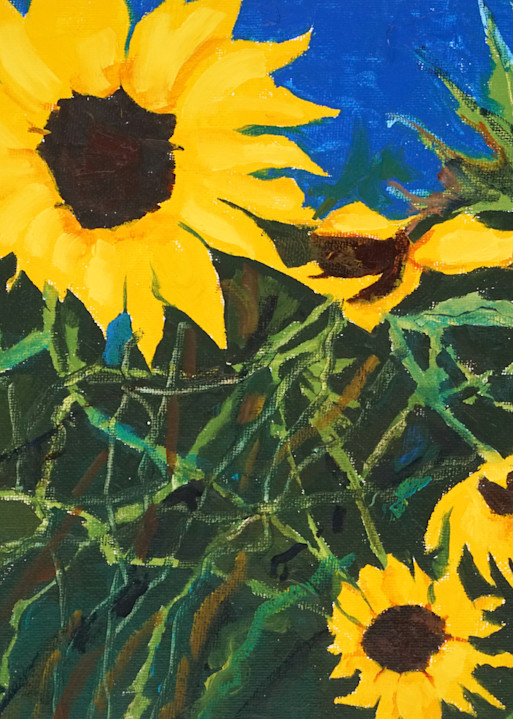 Sunflowers I Art | Margaret Miller