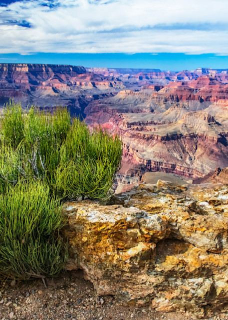 Grand Canyon Medicine — Arizona fine-art photography prints
