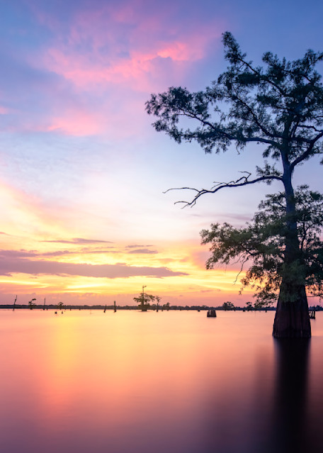 Summer Solstice Sunset - Louisiana swamp fine-art photography prints