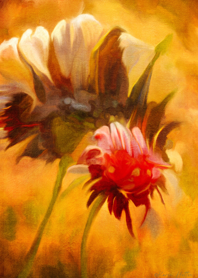 Strawflower Afternoon Art | Karen Hutton Fine Art