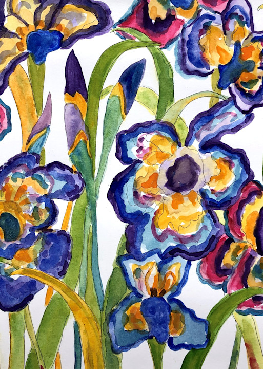 Blue Iris 11 X 14 Art | Becki Thomas Art