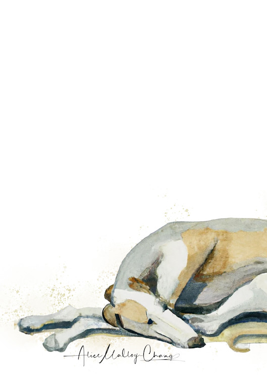 Greyhound Napping Art | Alice MC