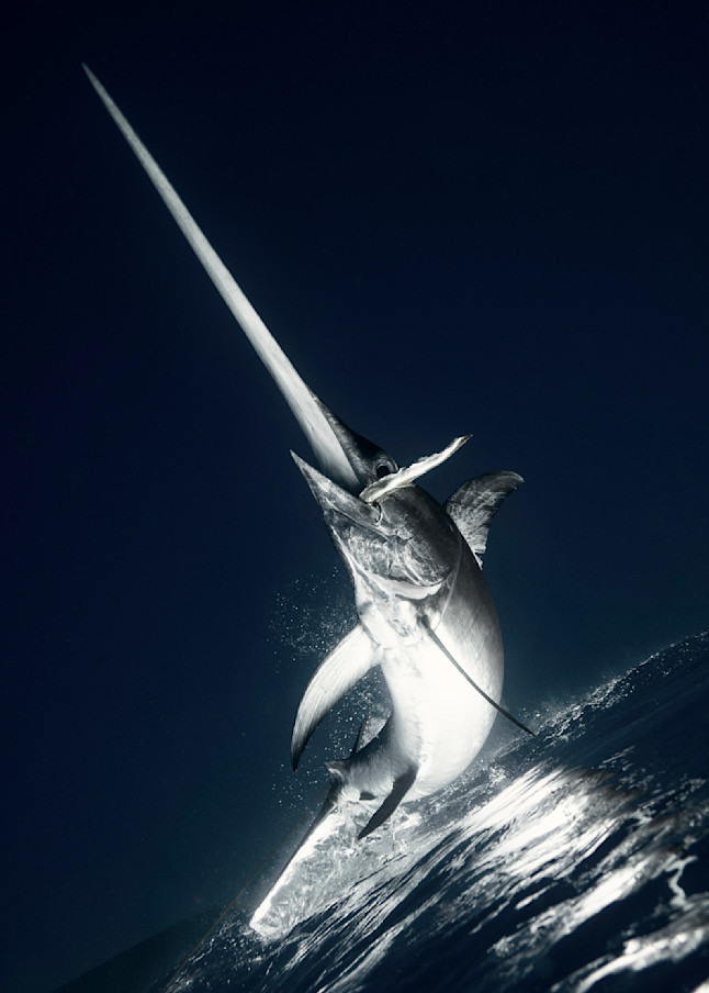 Sword To The Sky Photography Art | Dodge Ocean