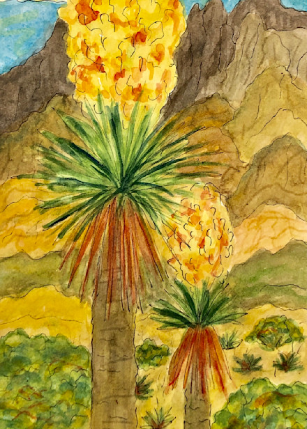 Blooming Yucca Art | Becki Thomas Art