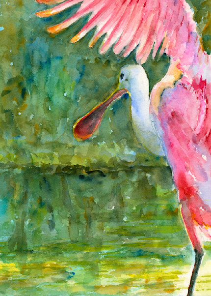 Spoonbill Wading Watercolor Print | Claudia Hafner Watercolor