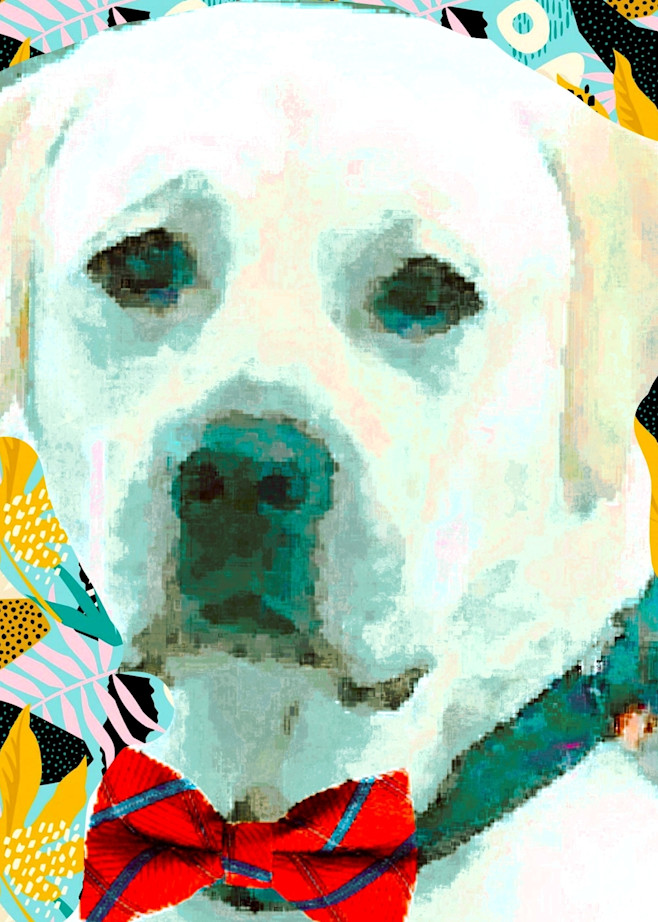 Bow Tie Art | Mish Murphy Fine Art