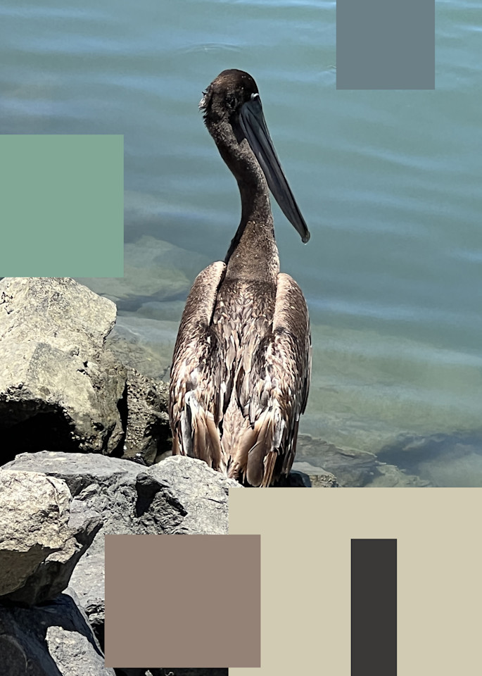 Brown Pelican 5 Art | Irena Orlov Art