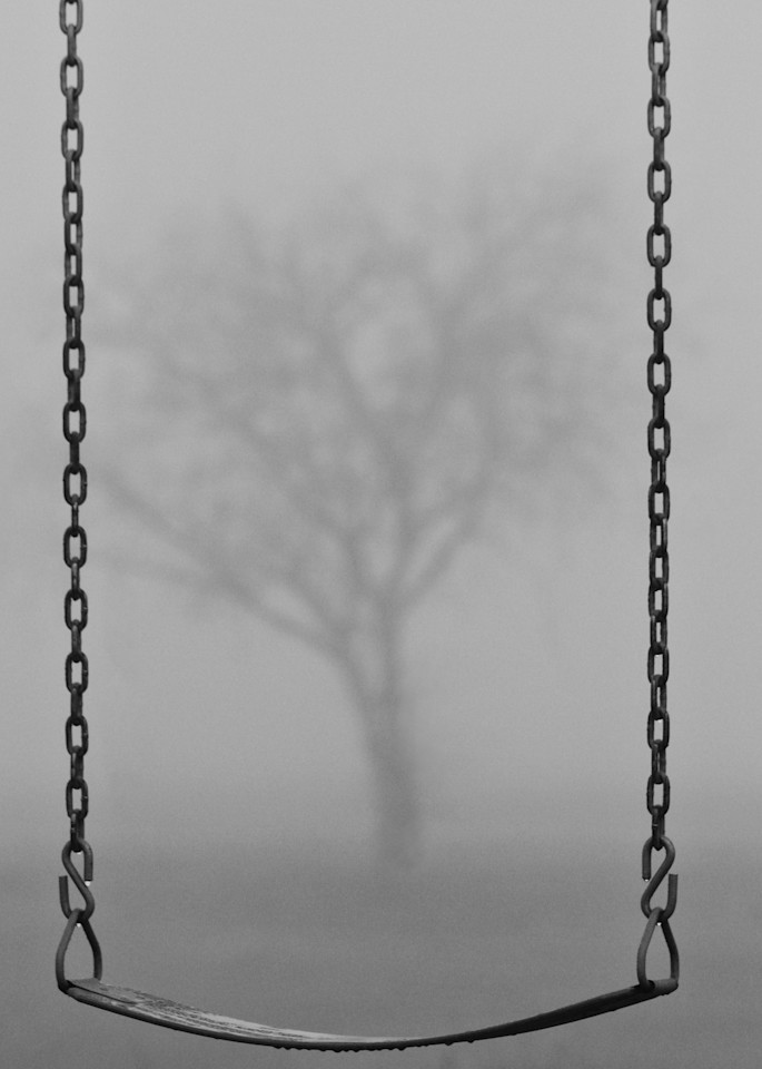 Fog In The Park  Photography Art | Julie Chapa Photography