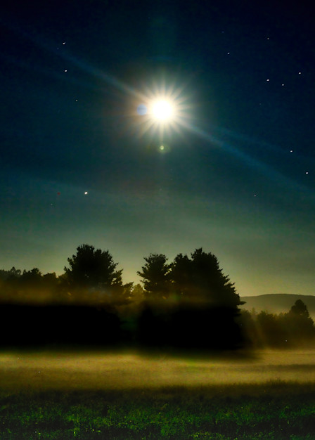 Full Moon And Fireflies On A Misty Night Photography Art | Anne Majusiak Photography
