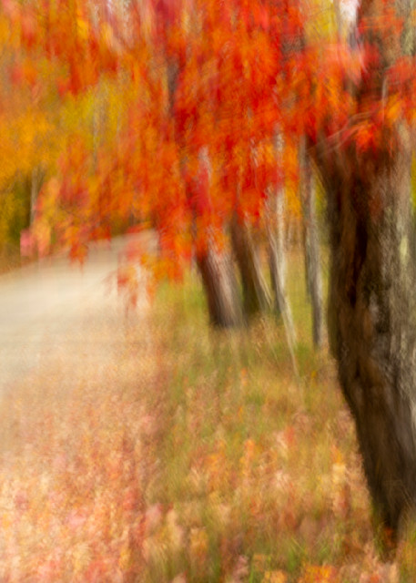 Dreamy Red Maples Photography Art | Anne Majusiak Photography