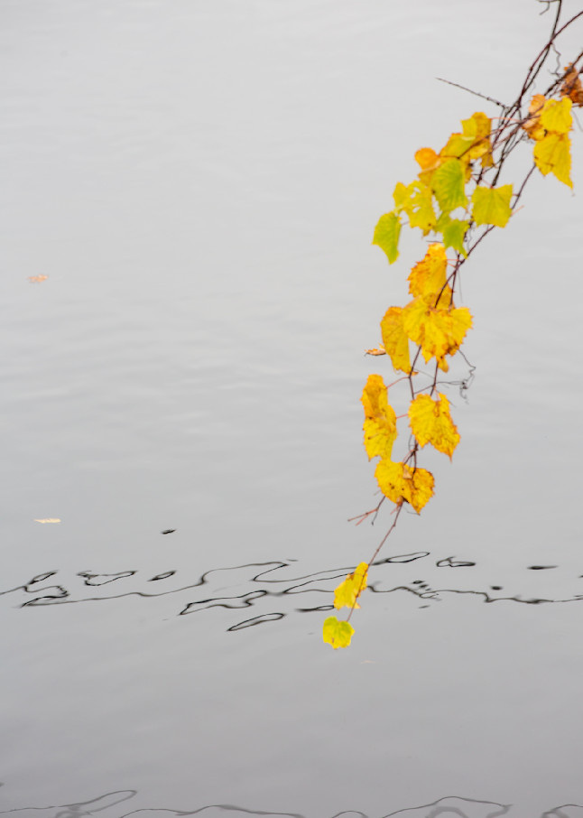 Pond Poetry In Autumn Photography Art | Anne Majusiak Photography