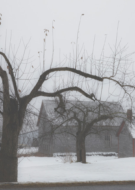 Barns Winter Fog Photography Art | Anne Majusiak Photography