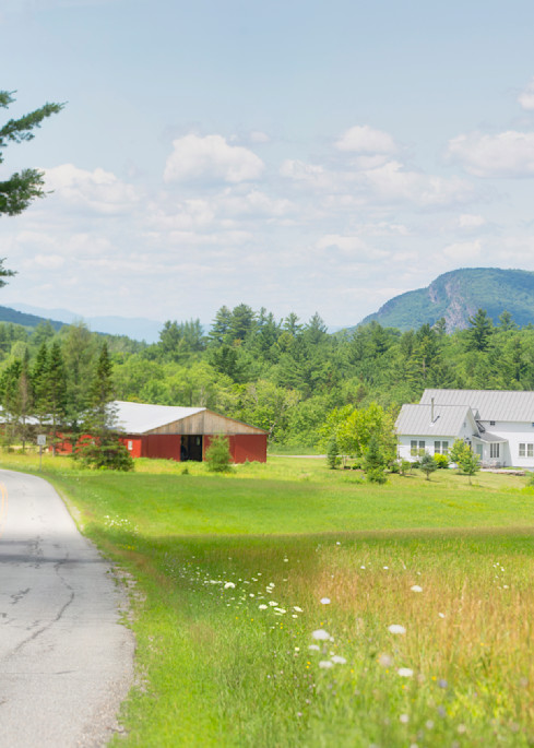 Sweet Summer Day In Vermont Photography Art | Anne Majusiak Photography