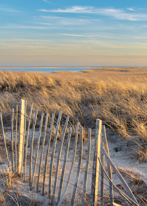 Amber Waves Of Dune Grass Photography Art | The Colors of Chatham