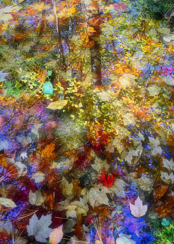 Autumn Reflection Photography Art | Anne Majusiak Photography