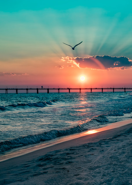 Ocean Sunsetwith  Bird Florida Photograph 1517  | Florida Photography | Koral Martin Fine Art Photography
