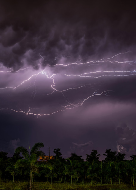 Lightning Over South Florida Photography Art | johnnelson
