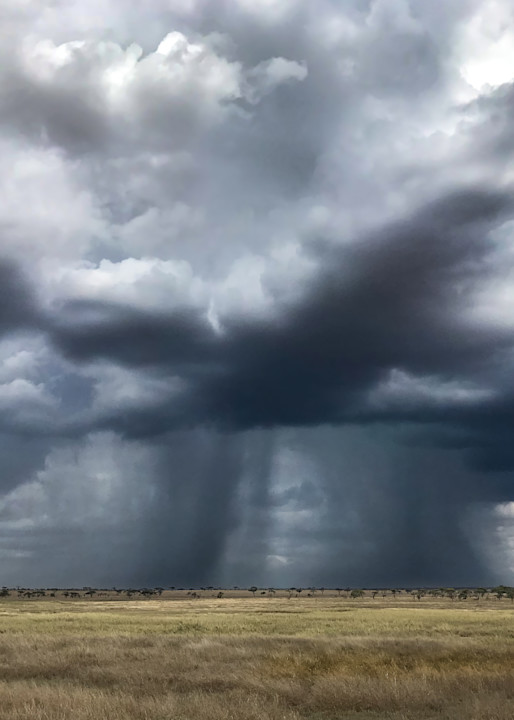 Storm On The Serengeti Photography Art | johnnelson