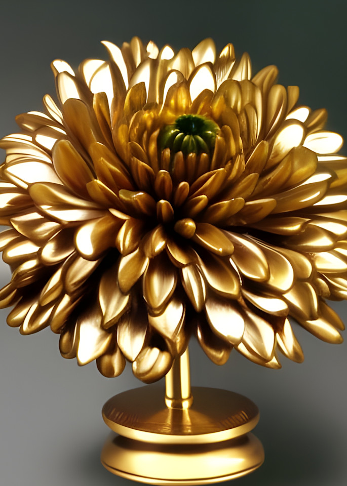 Gold Chrysanthemum Photography Art | Robert Harrison Fine Art