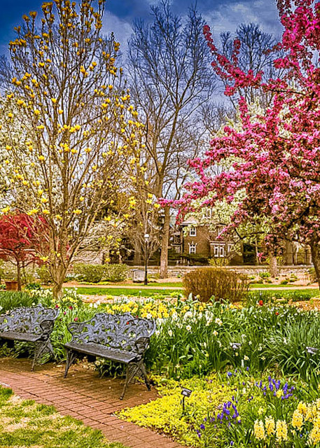 Spring In St. Louis Photography Art | NKF Fine ART