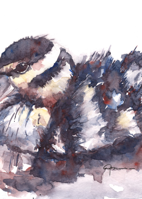 Black Bellied Whistling Duck Chick 2 Watercolor Print | Claudia Hafner Watercolor