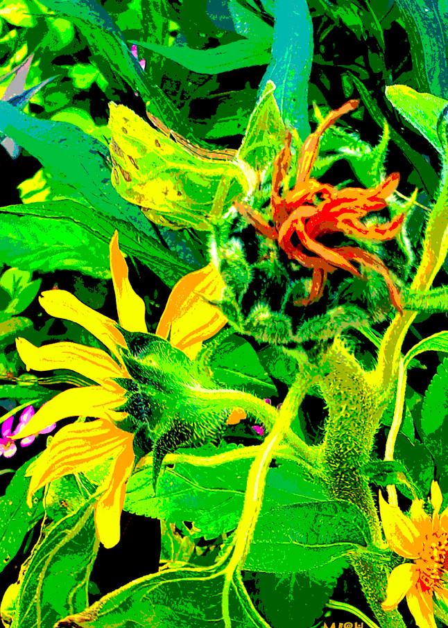 Sunflower 5 Art | Mish Murphy Fine Art