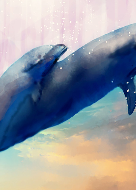 Dolphins Art | Mish Murphy Fine Art