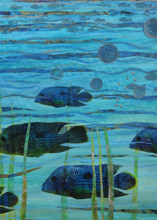 Under The Sea Art | Hillary Korn Fontana 